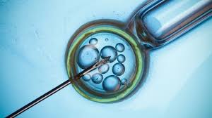 IVF Centre