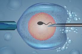 IVF Treatment